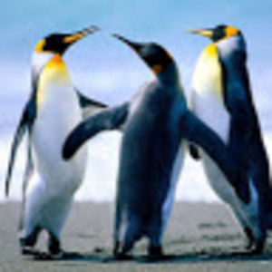 Meet your Posher, Catrina